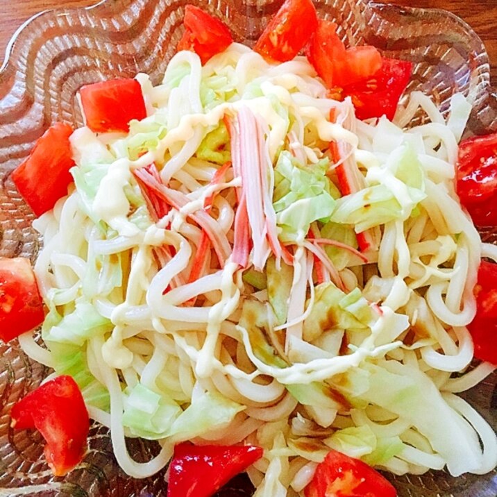 材料コレだけ☆サラダうどん